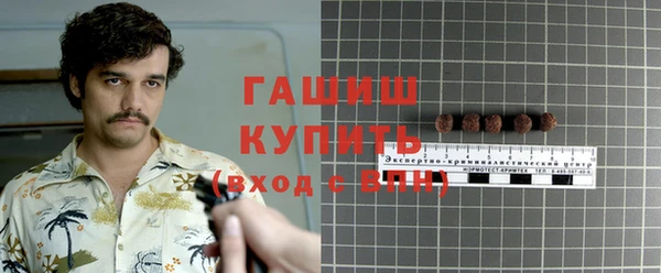 шишки Белокуриха