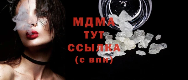 шишки Белокуриха