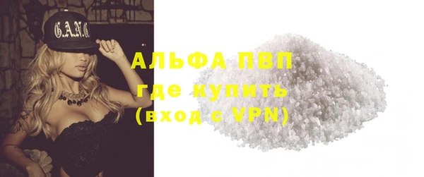 шишки Белокуриха