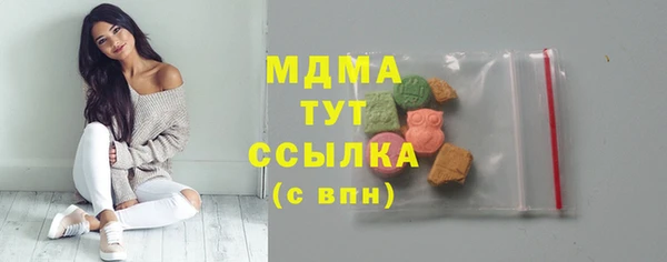шишки Белокуриха