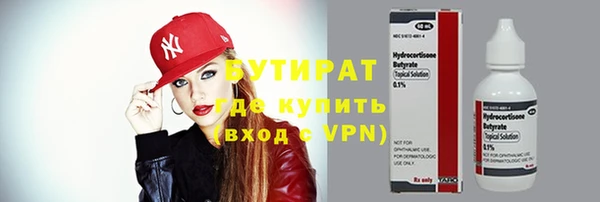 шишки Белокуриха