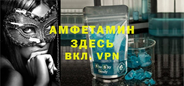 шишки Белокуриха
