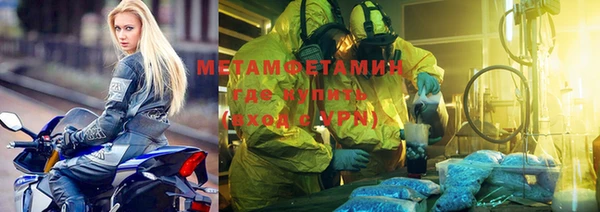 шишки Белокуриха
