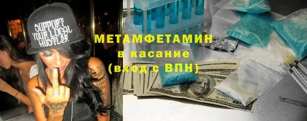 шишки Белокуриха