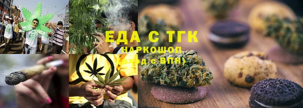 шишки Белокуриха
