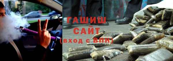 шишки Белокуриха