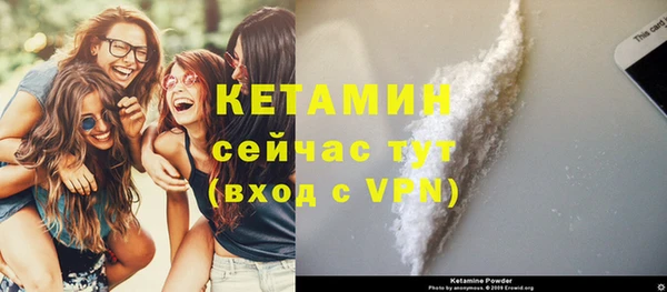 шишки Белокуриха