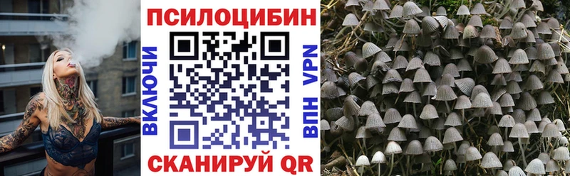 Галлюциногенные грибы Cubensis  Малоярославец 